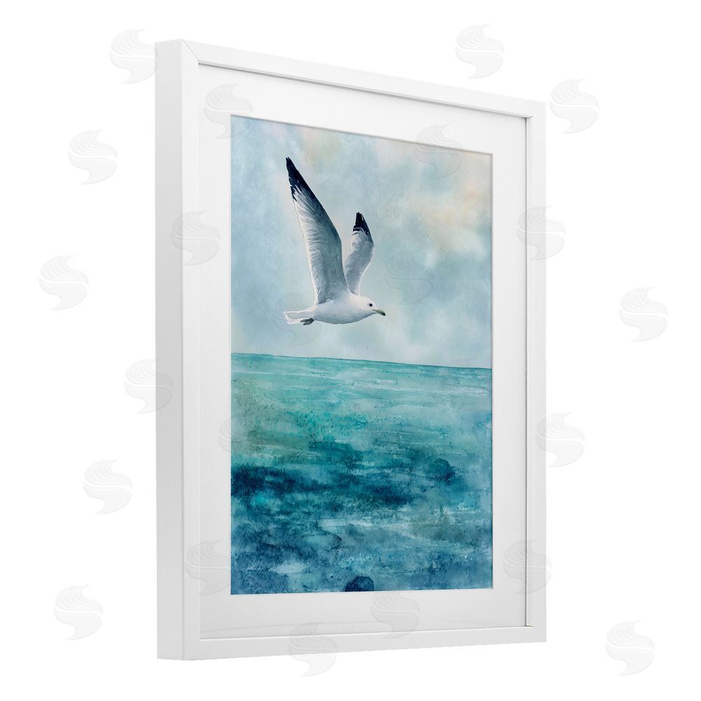 Franklyn Gregory Seagull With Black Tips White Framed Print Under Glass with White Mat Wall Art