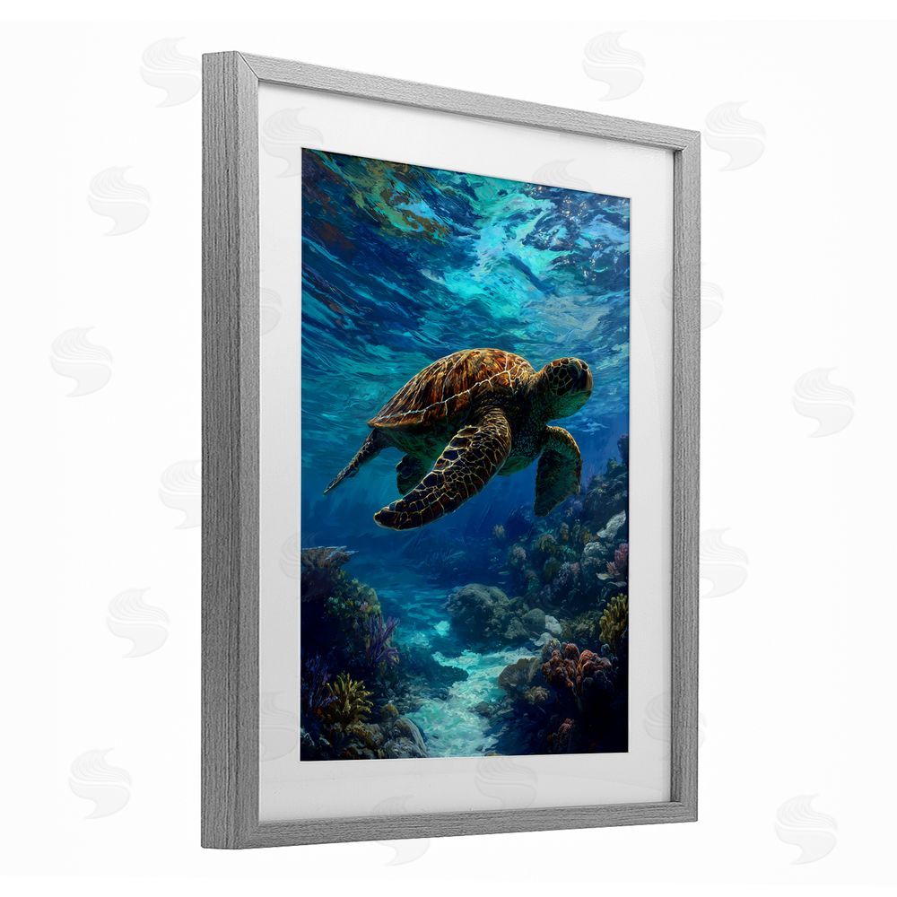 Franklyn Gregory Oceanic Adventurer Tortoise Gray Framed Print Under Glass Wall Art