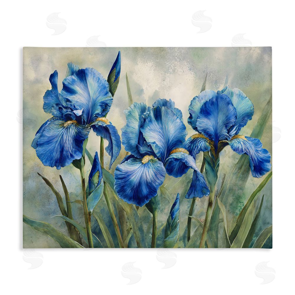 Franklyn Gregory Drawn Blue Iris Flowers Stretched Canvas Wall Art