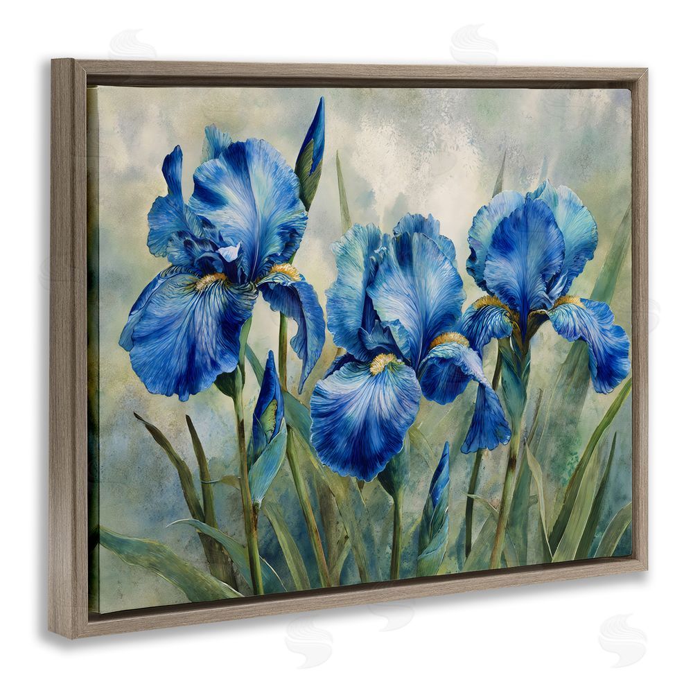 Franklyn Gregory Drawn Blue Iris Flowers Brown Floating Frame Canvas Wall Art Print
