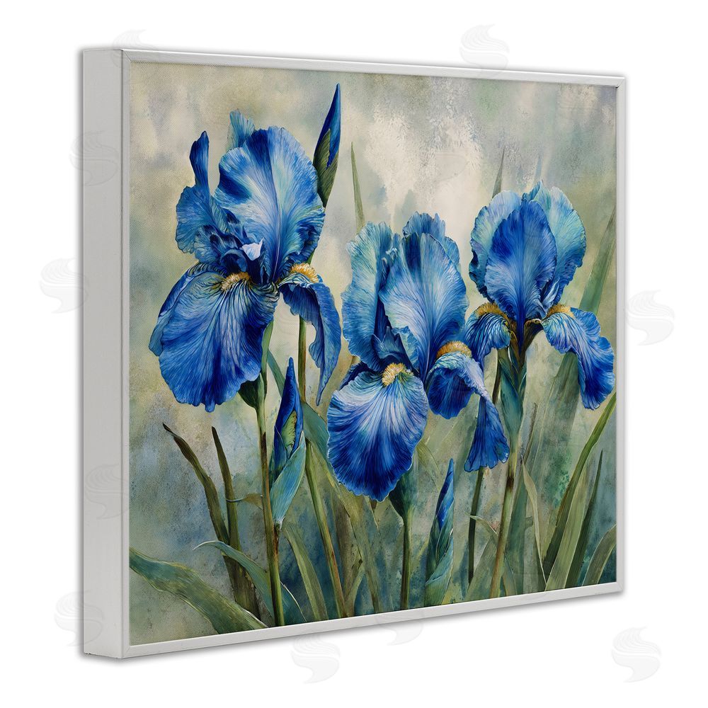 Franklyn Gregory Drawn Blue Iris Flowers White Framed Giclee Wall Art Print