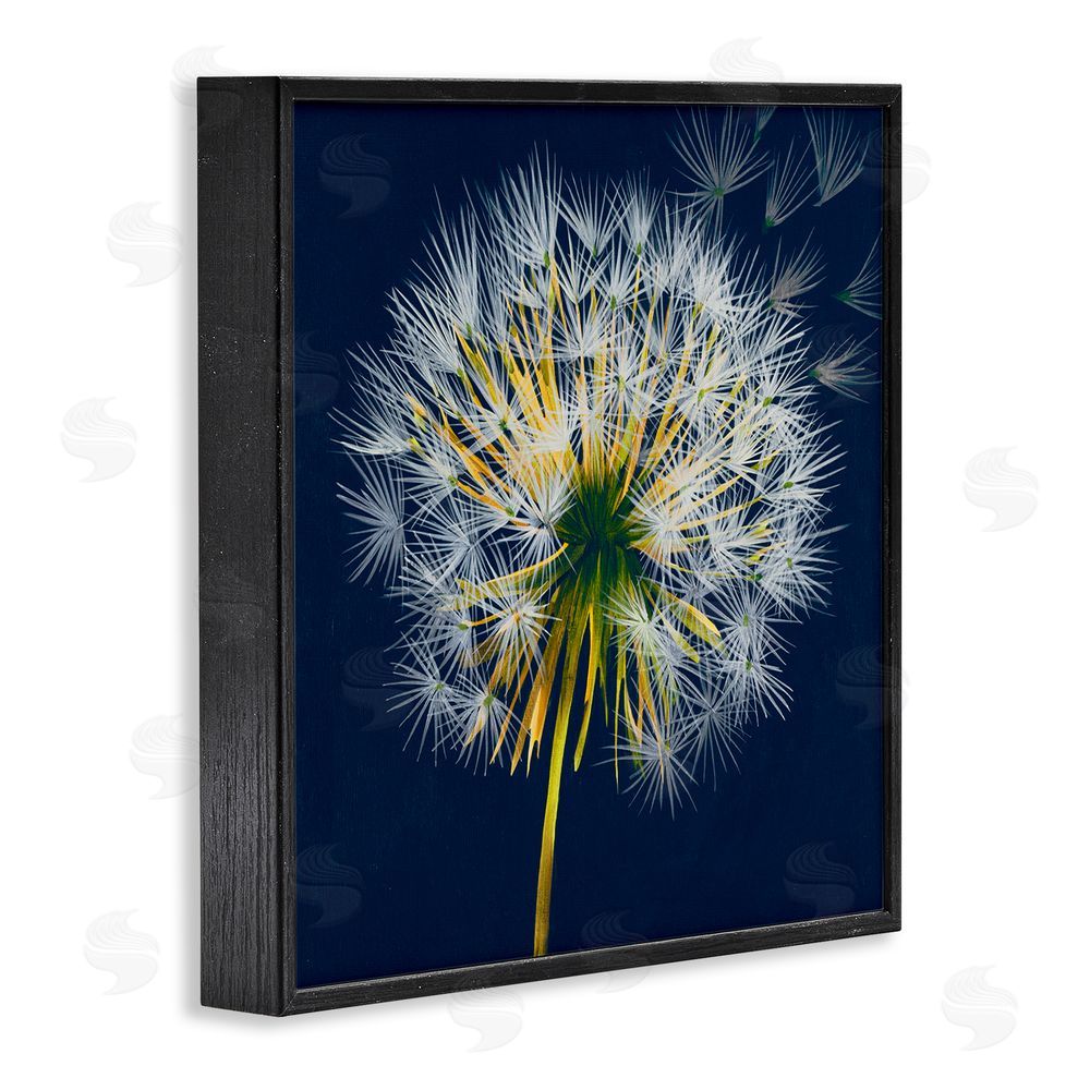 Liz Jardine Dandelion Cluster in the Wind Black Framed Giclee Wall Art Print