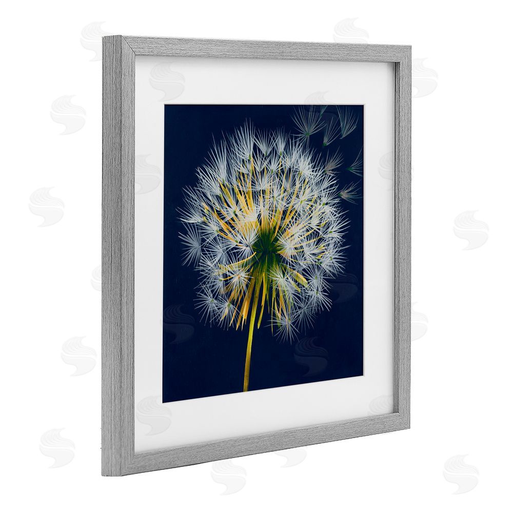 Liz Jardine Dandelion Cluster in the Wind Gray Framed Print Under Glass Wall Art