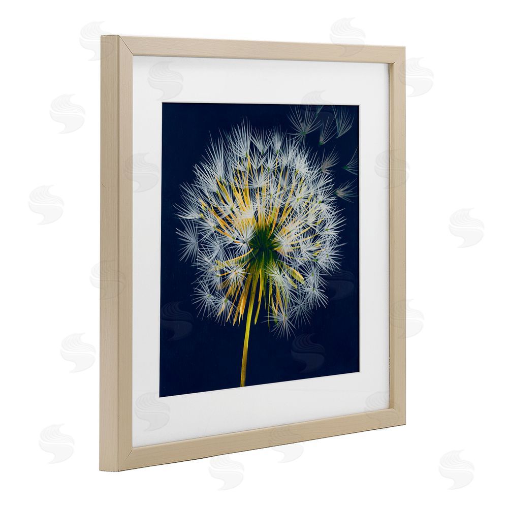 Liz Jardine Dandelion Cluster in the Wind Brown Framed Print Under Glass Wall Art