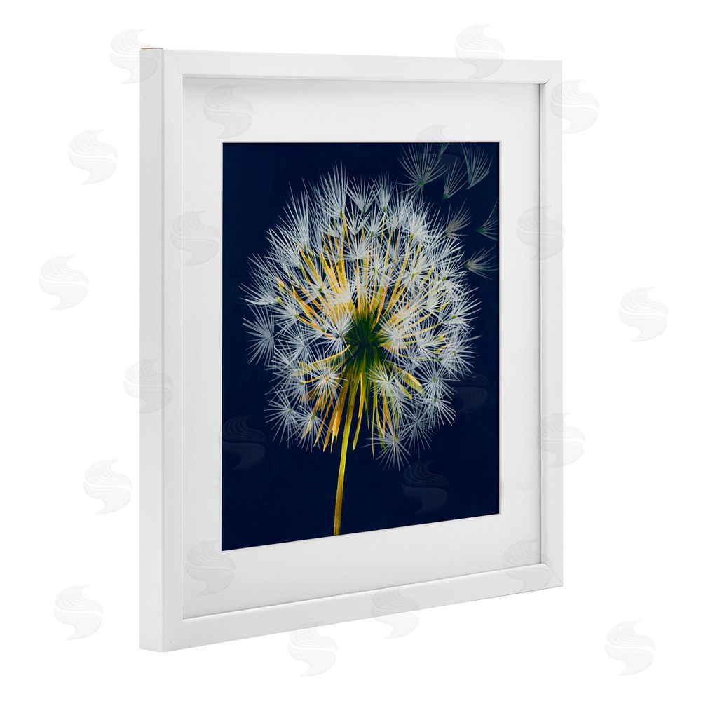 Liz Jardine Dandelion Cluster in the Wind White Framed Print Under Glass Wall Art