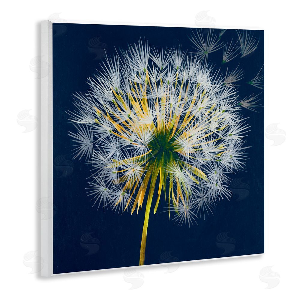 Liz Jardine Dandelion Cluster in the Wind Wooden Wall Plaque Art Print