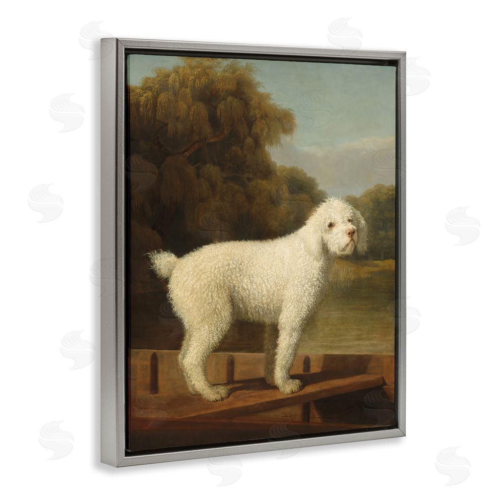Tina LeCour White Poodle in a Punt Gray Floating Frame Canvas Wall Art Print