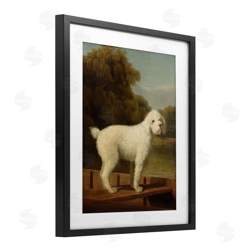 Tina LeCour White Poodle in a Punt Black Framed Print Under Glass Wall Art