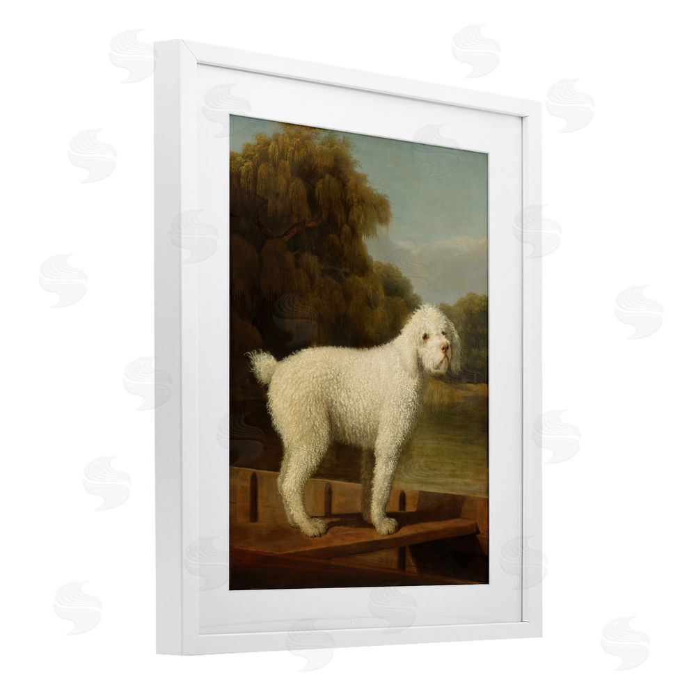 Tina LeCour White Poodle in a Punt White Framed Print Under Glass Wall Art