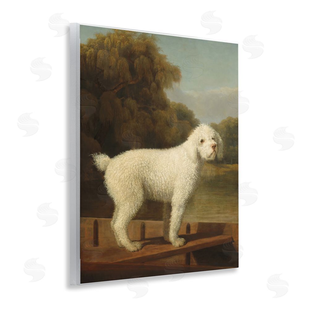 Tina LeCour White Poodle in a Punt Wooden Wall Plaque Art Print
