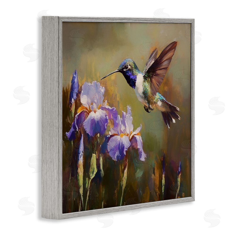 Tina LeCour Hummingbird & Purple Irises Gray Framed Giclee Wall Art Print