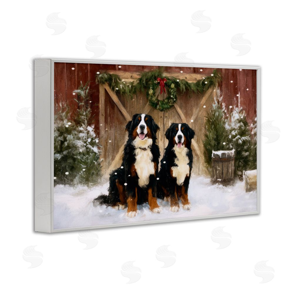 Tina LeCour Barnyard Bernese Mountain Dogs White Framed Giclee Wall Art Print