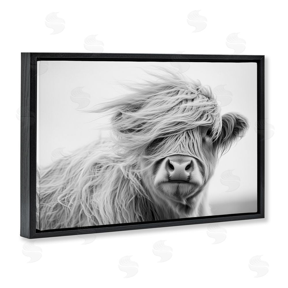Tina LeCour Easy Breezy Highland Black Floating Frame Canvas Wall Art