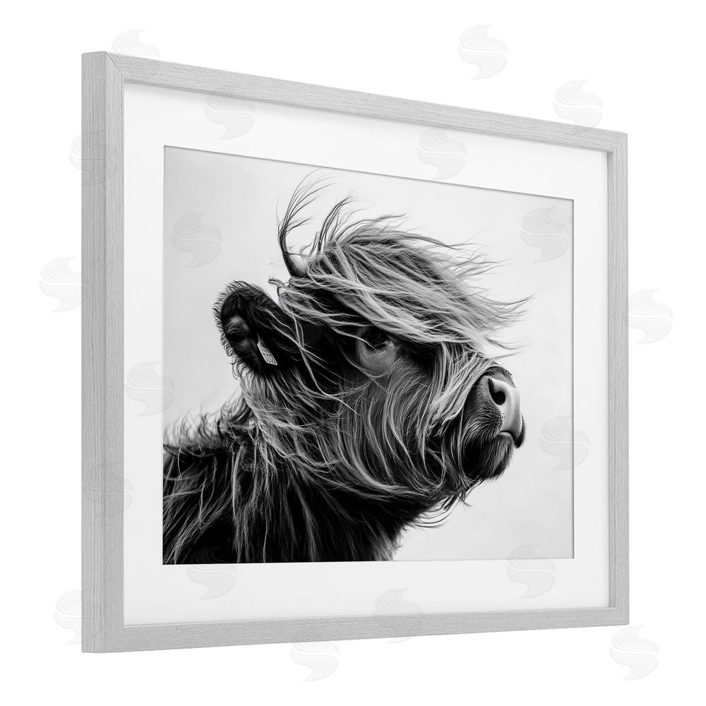 Tina LeCour Handsome Highland Portrait Gray Framed Print Under Glass with Mat Wall Art