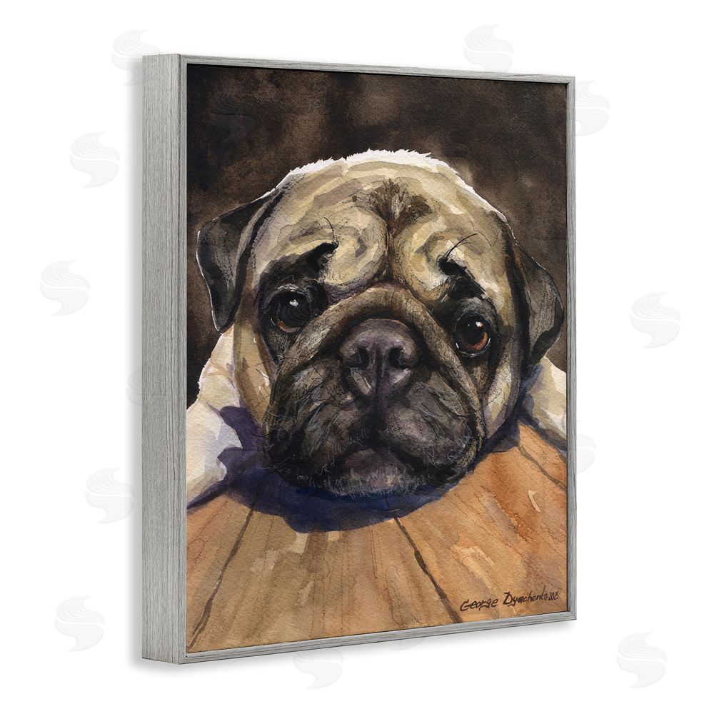 George Dyachenko Pug Soulful Portrait Gray Framed Giclee Wall Art Print