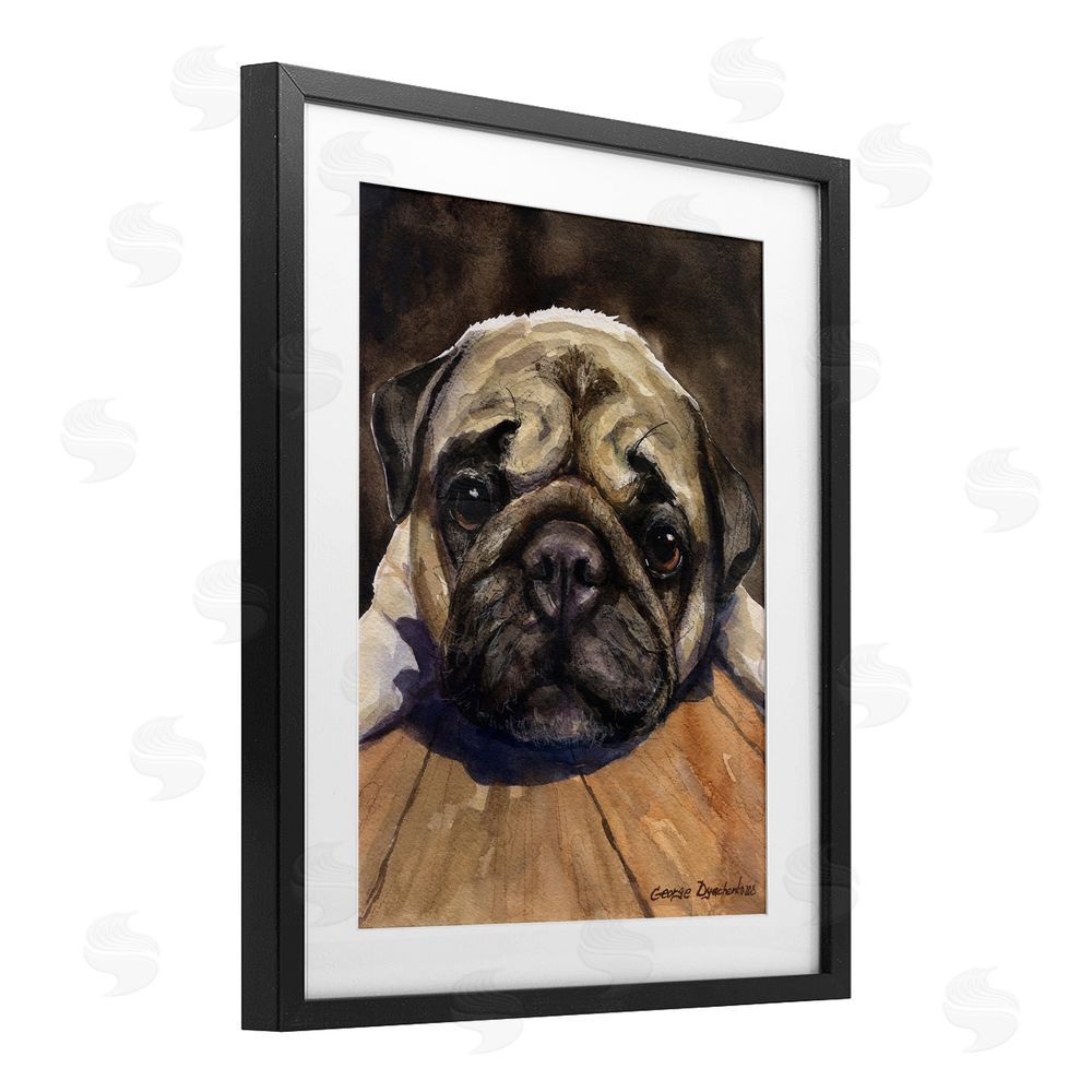 George Dyachenko Pug Soulful Portrait Black Framed Print Under Glass Wall Art