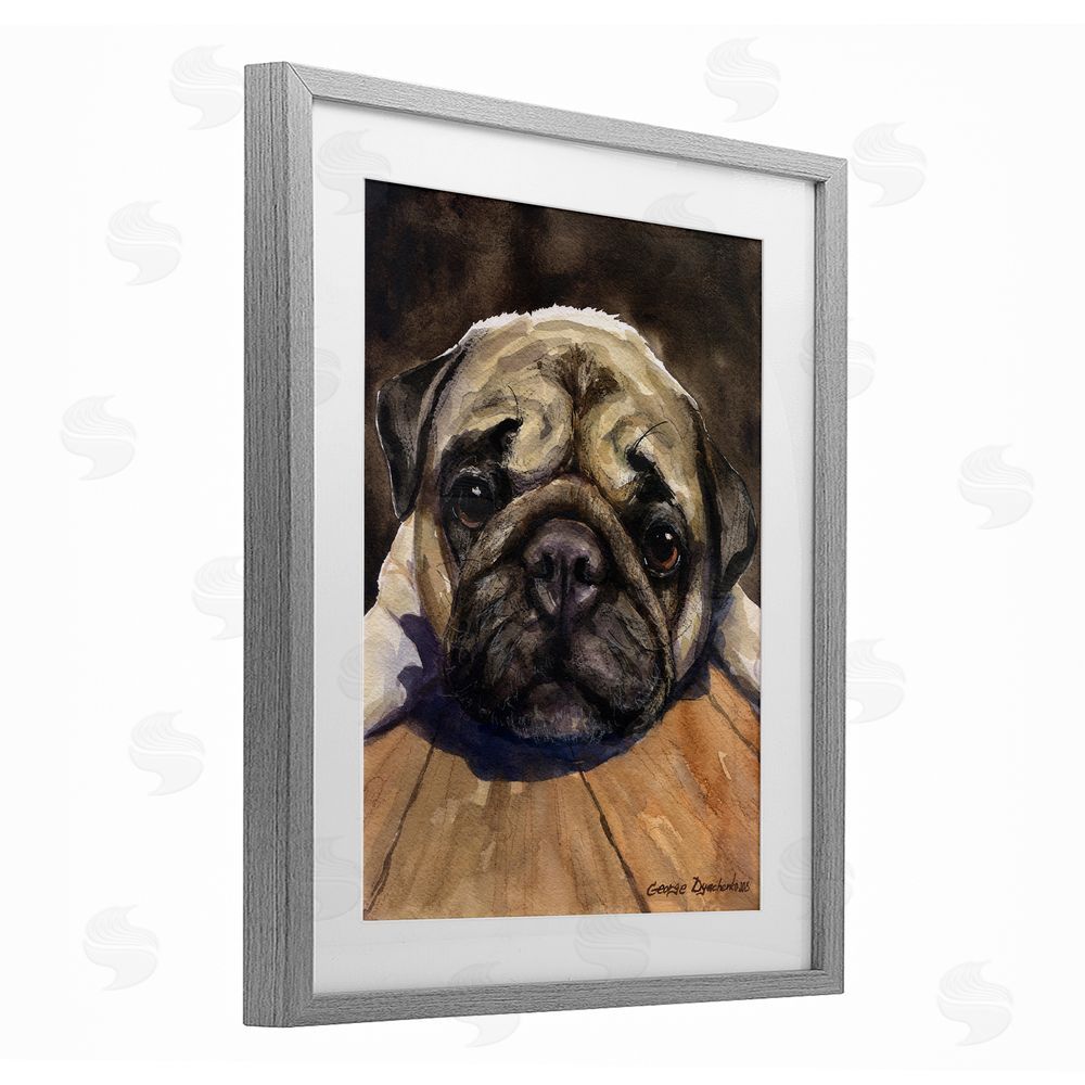 George Dyachenko Pug Soulful Portrait Gray Framed Print Under Glass Wall Art