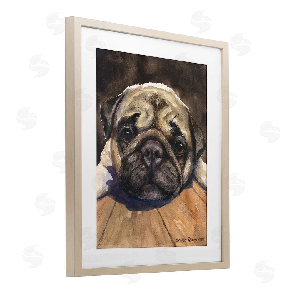George Dyachenko Pug Soulful Portrait Brown Framed Print Under Glass Wall Art