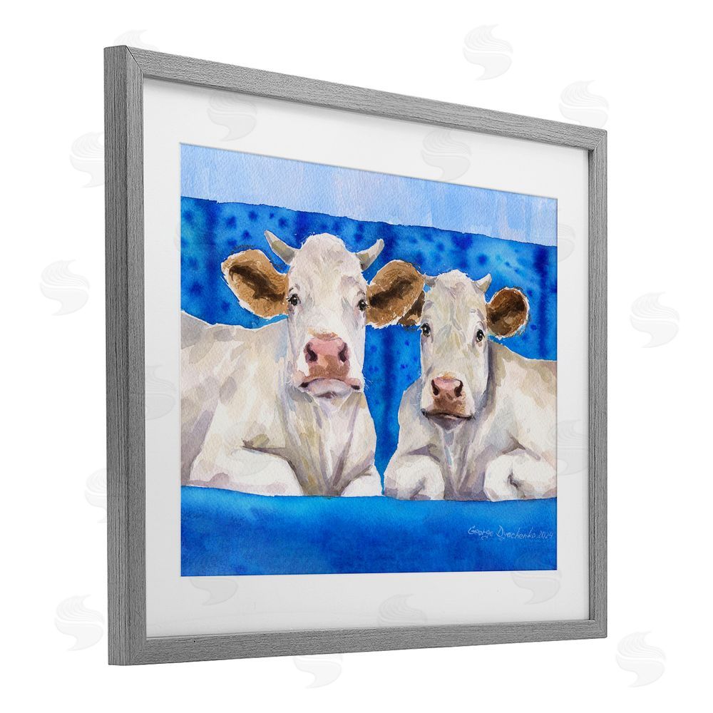 George Dyachenko White Cows on Blue Sofa Gray Framed Print Under Glass Wall Art