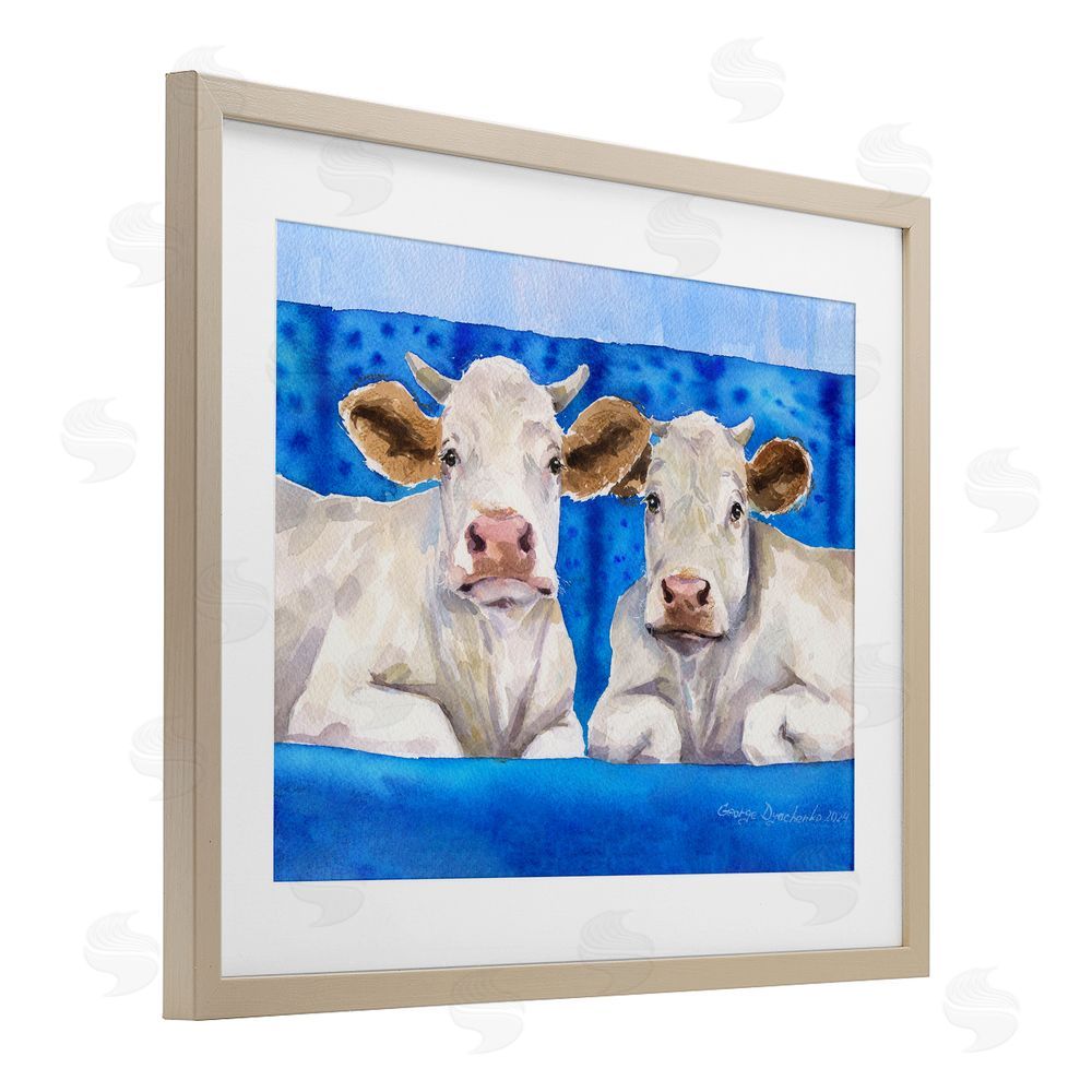 George Dyachenko White Cows on Blue Sofa Brown Framed Print Under Glass Wall Art
