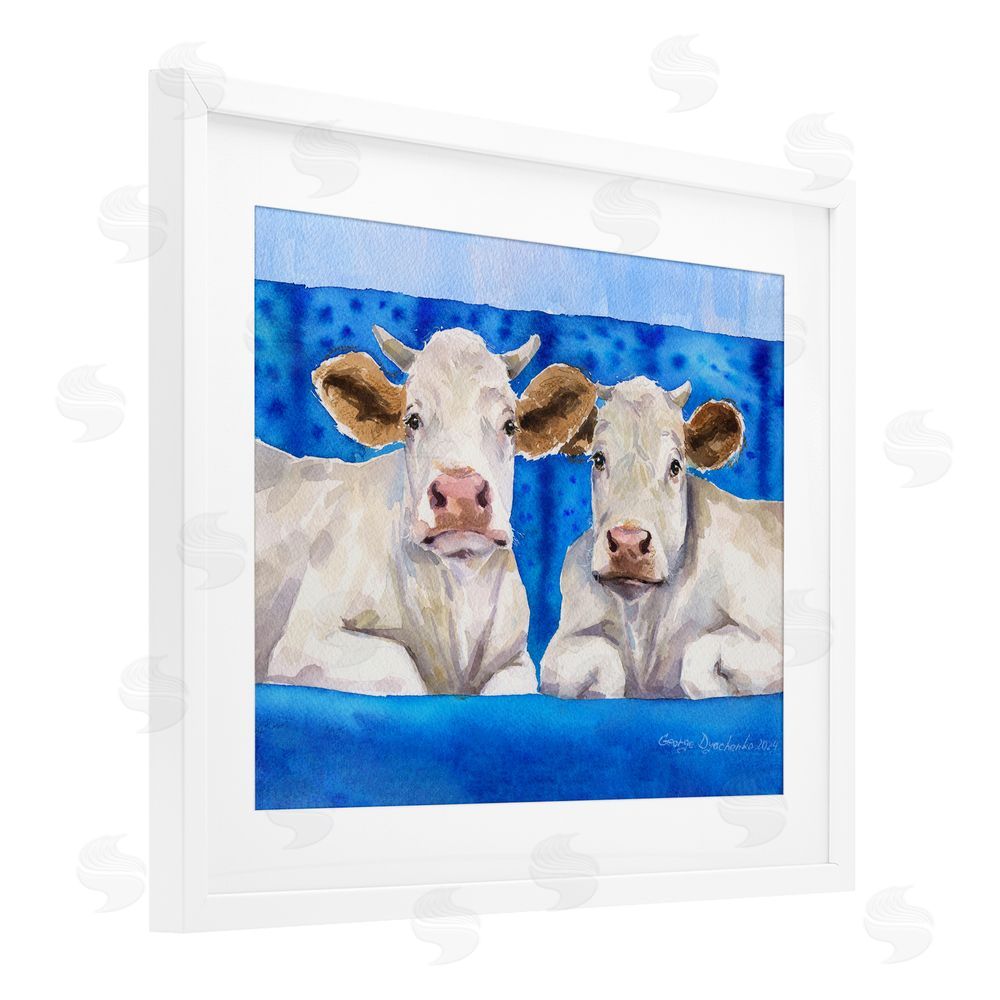 George Dyachenko White Cows on Blue Sofa White Framed Print Under Glass Wall Art