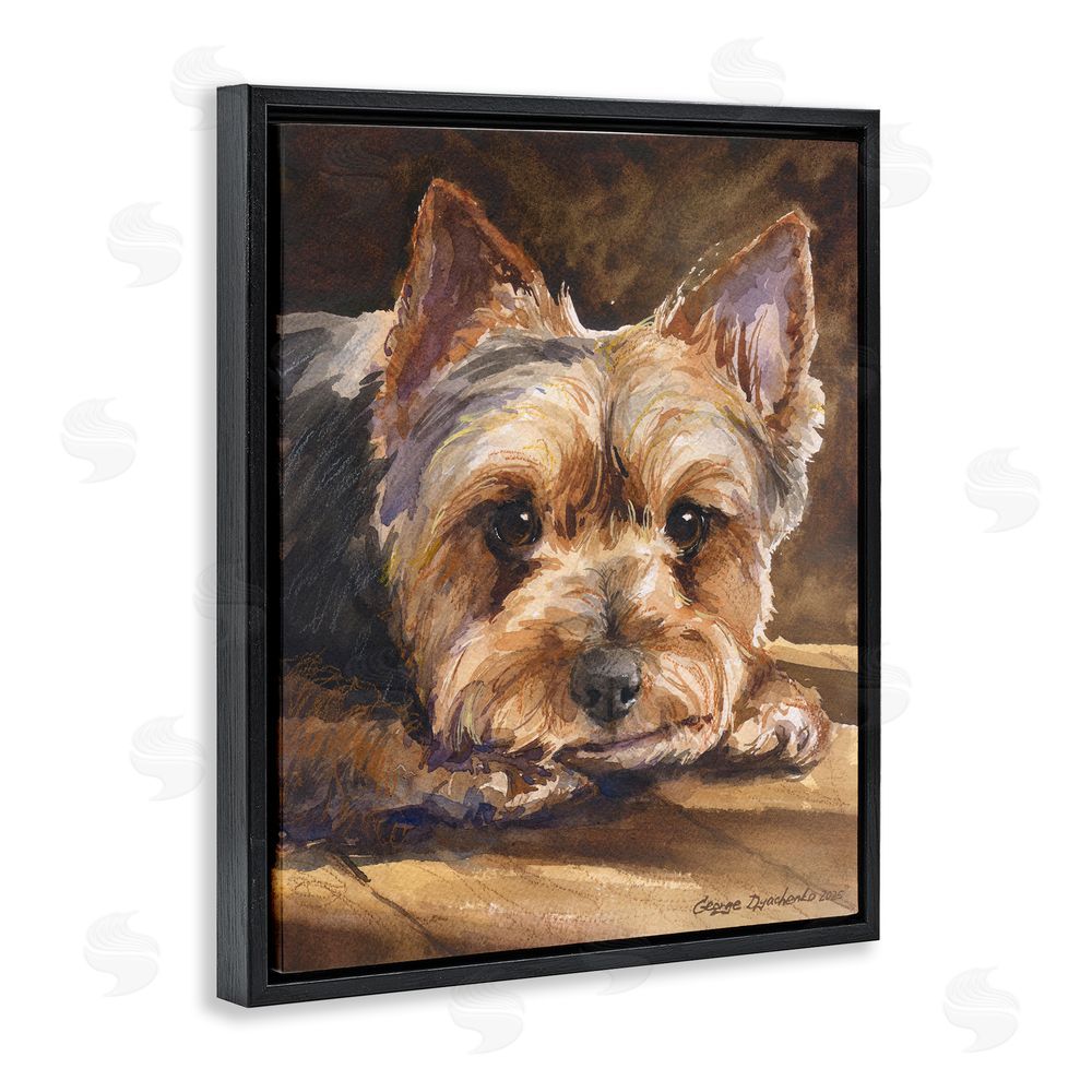 George Dyachenko Yorkshire Terrier Portrait Black Floating Frame Stretched Canvas Wall Art Print