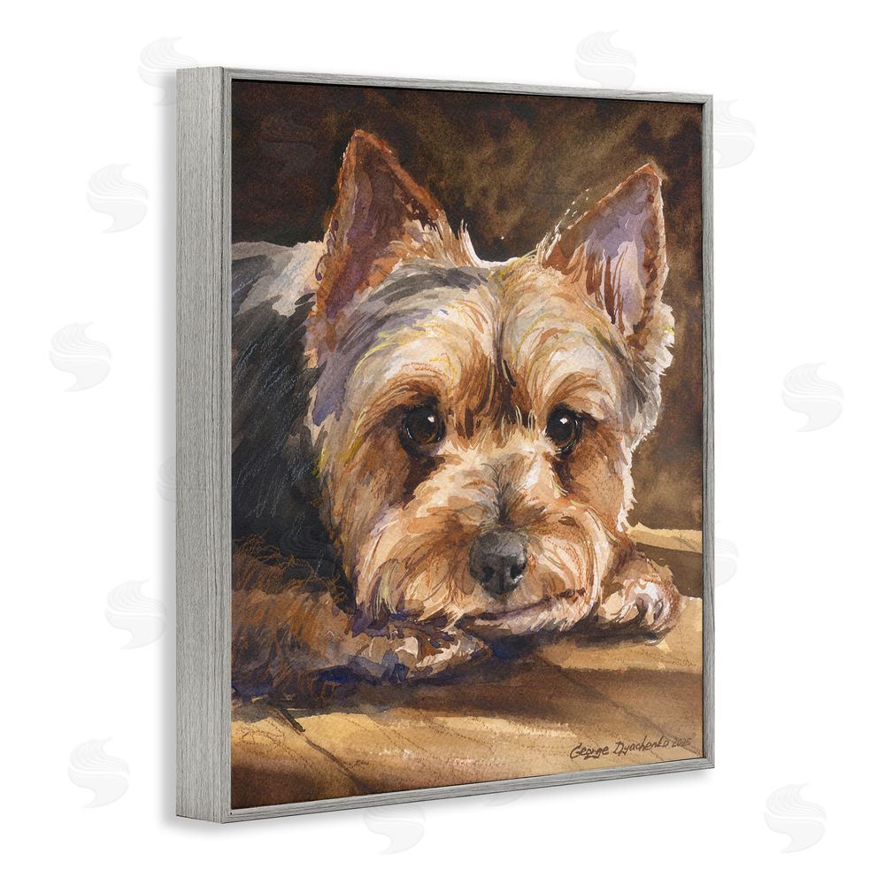 George Dyachenko Yorkshire Terrier Portrait Gray Framed Giclee Wall Art Print