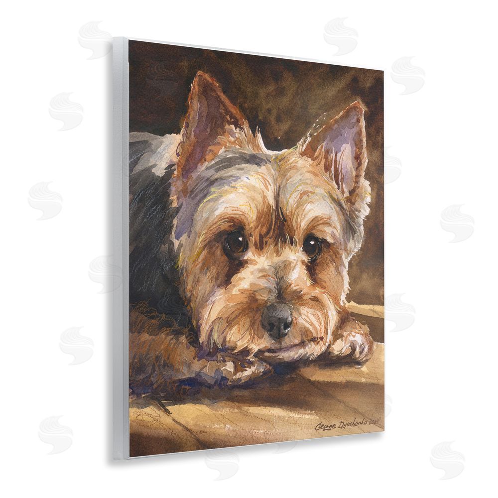 George Dyachenko Yorkshire Terrier Portrait Wall Plaque Art Print with White Foil Wrap