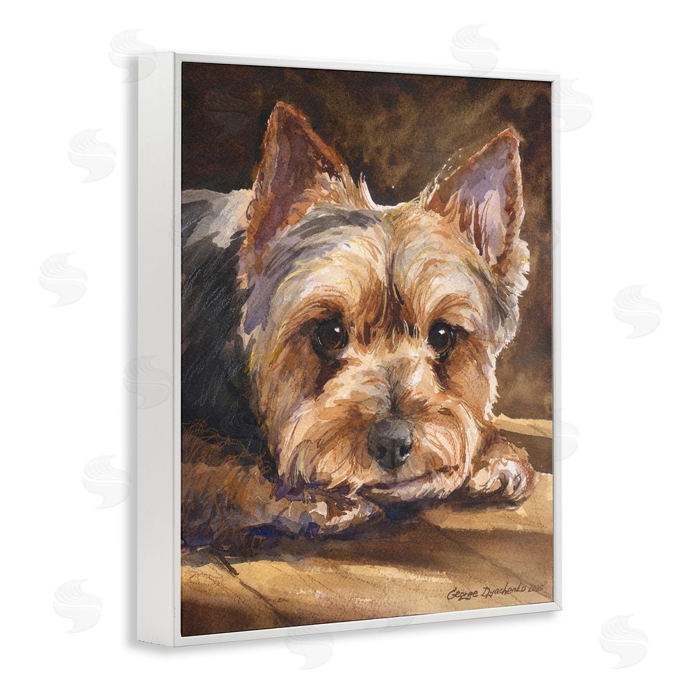 George Dyachenko Yorkshire Terrier Portrait White Framed Giclee Wall Art Print