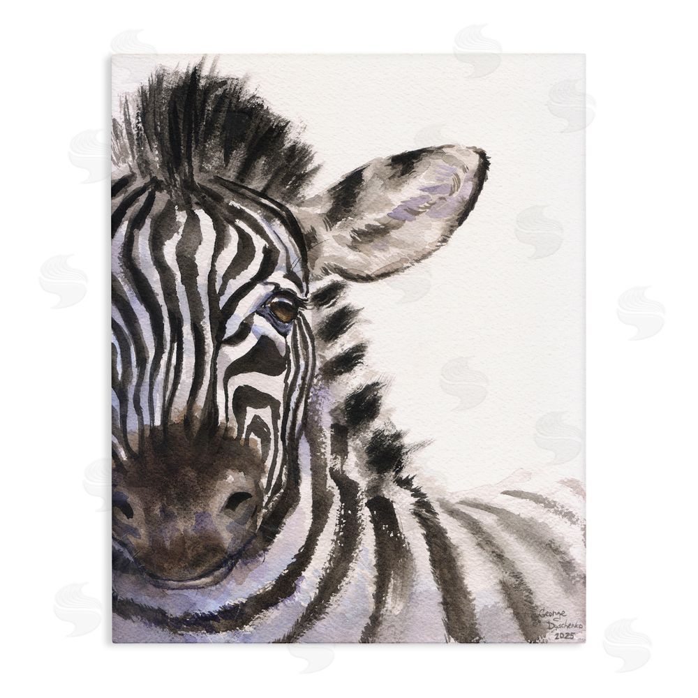 George Dyachenko Zebra Portrait on White Stretched Canvas Wall Art Print