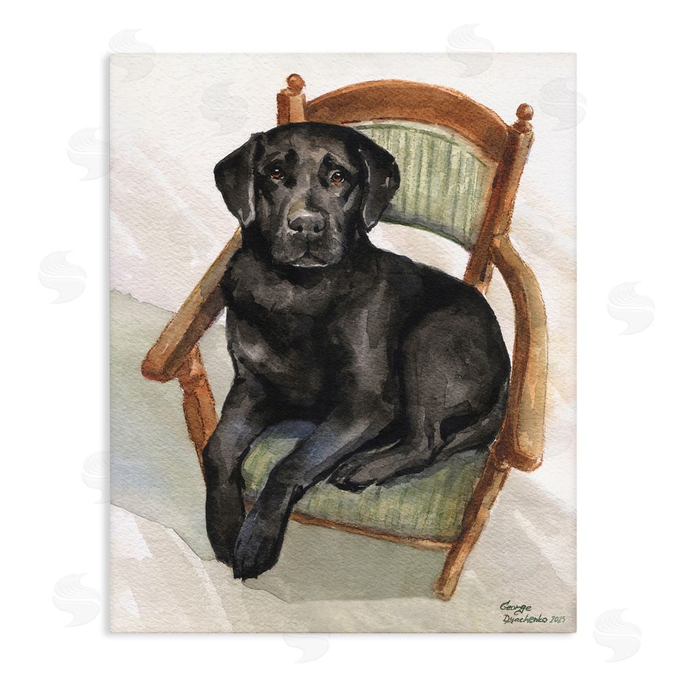 George Dyachenko Black Labrador On Chair Stretched Canvas Wall Art Print