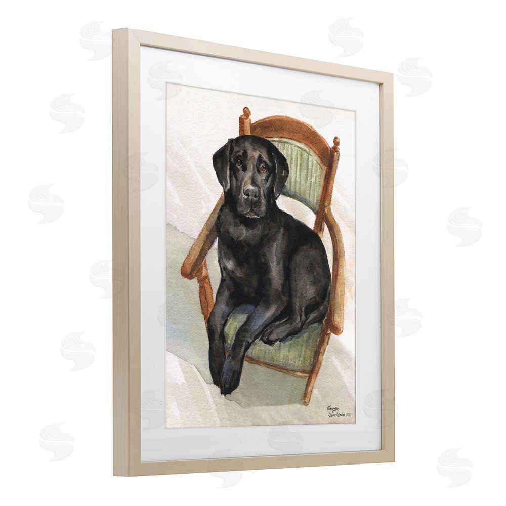 George Dyachenko Black Labrador On Chair Brown Framed Print Under Glass Wall Art