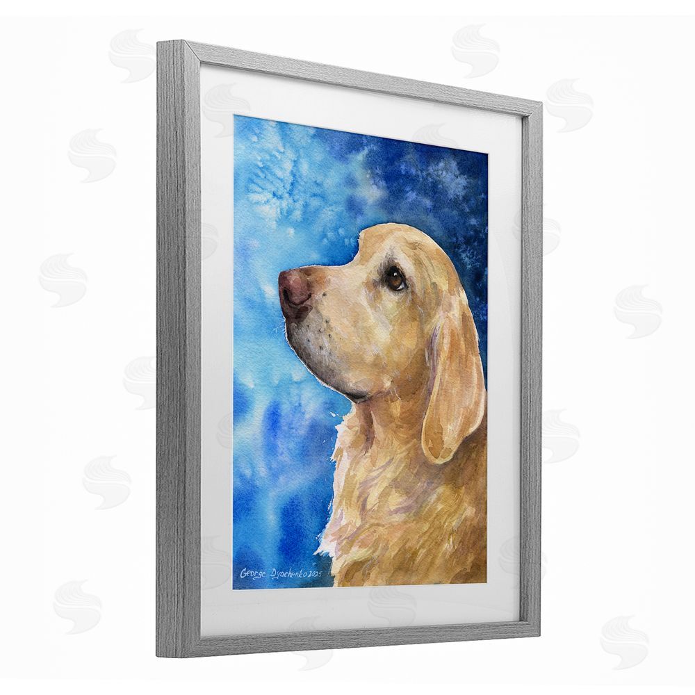 George Dyachenko Golden Retriever Portrait on Azure Gray Framed Print Under Glass Wall Art