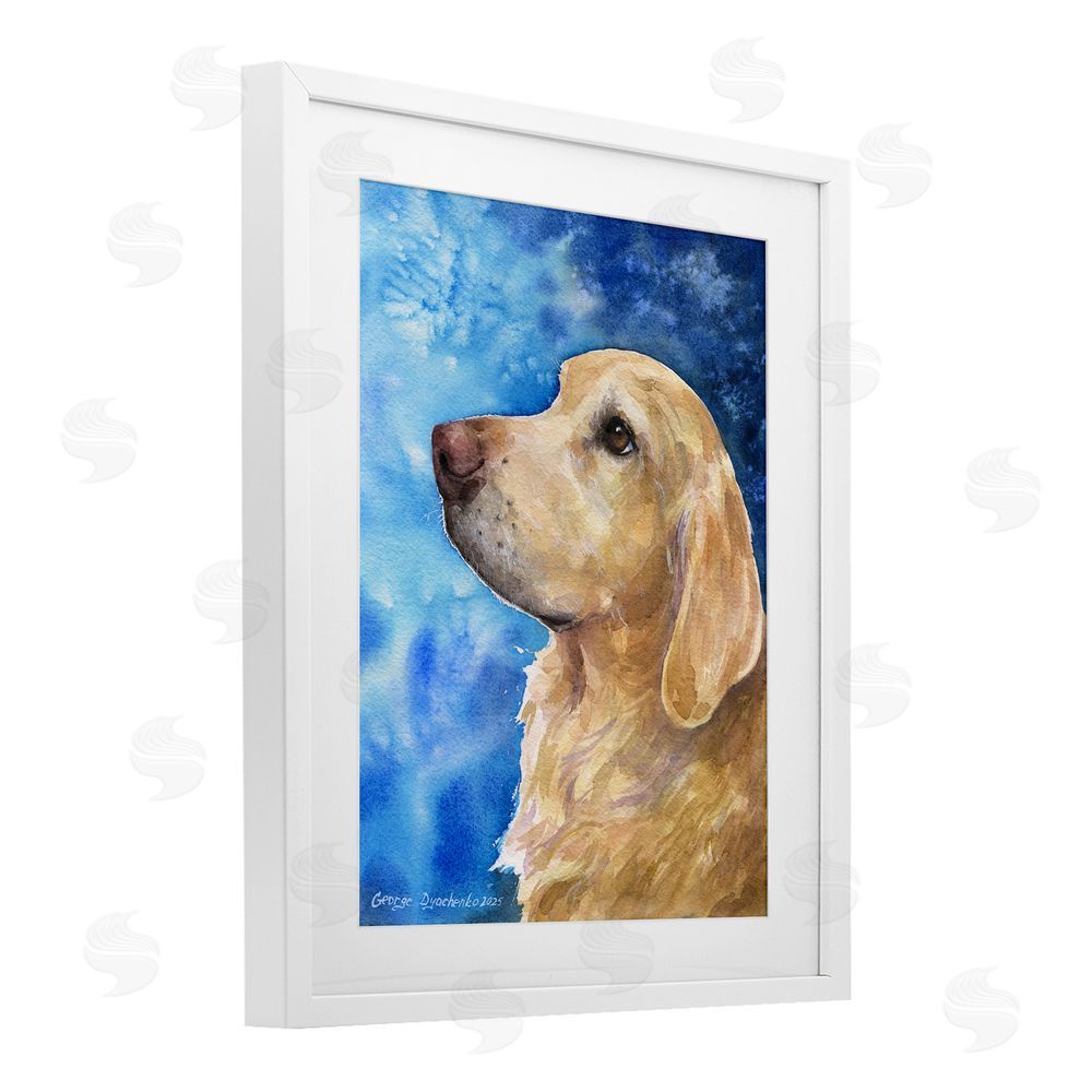 George Dyachenko Golden Retriever Portrait on Azure White Framed Print Under Glass Wall Art