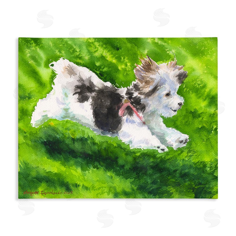 George Dyachenko Happy Maltipoo Running Stretched Canvas Wall Art