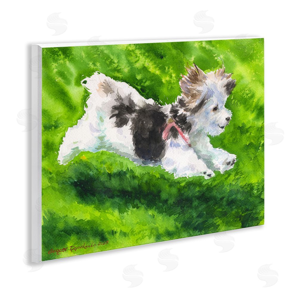 George Dyachenko Happy Maltipoo Running Wooden Wall Plaque Art Print