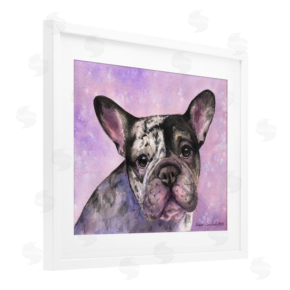 George Dyachenko Harlequin French Bulldog White Framed Print Under Glass with Mat Wall Art