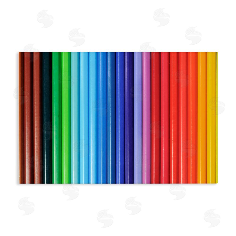 Tom Quartermaine Colored Pencil Lineup Stretched Canvas Wall Art Print