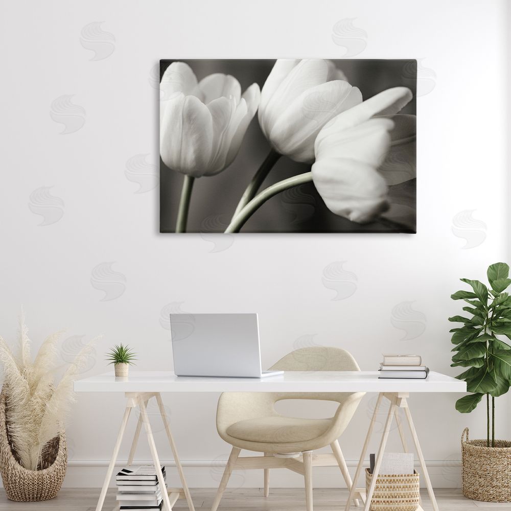 Tom Quartermaine Row Of Monochrome Tulips Stretched Canvas Wall Art in Room