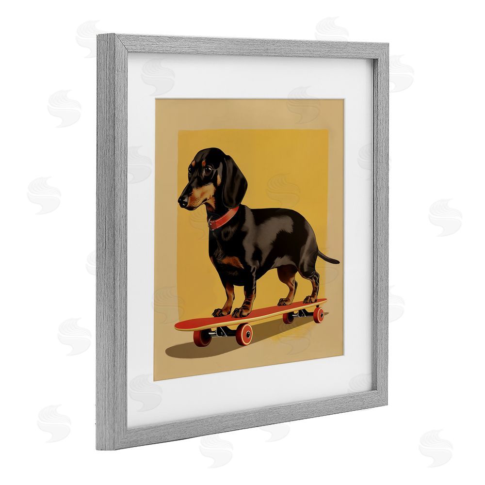Andreas Magnusson Dachshund on Red Skateboard Gray Framed Print Under Glass Wall Art