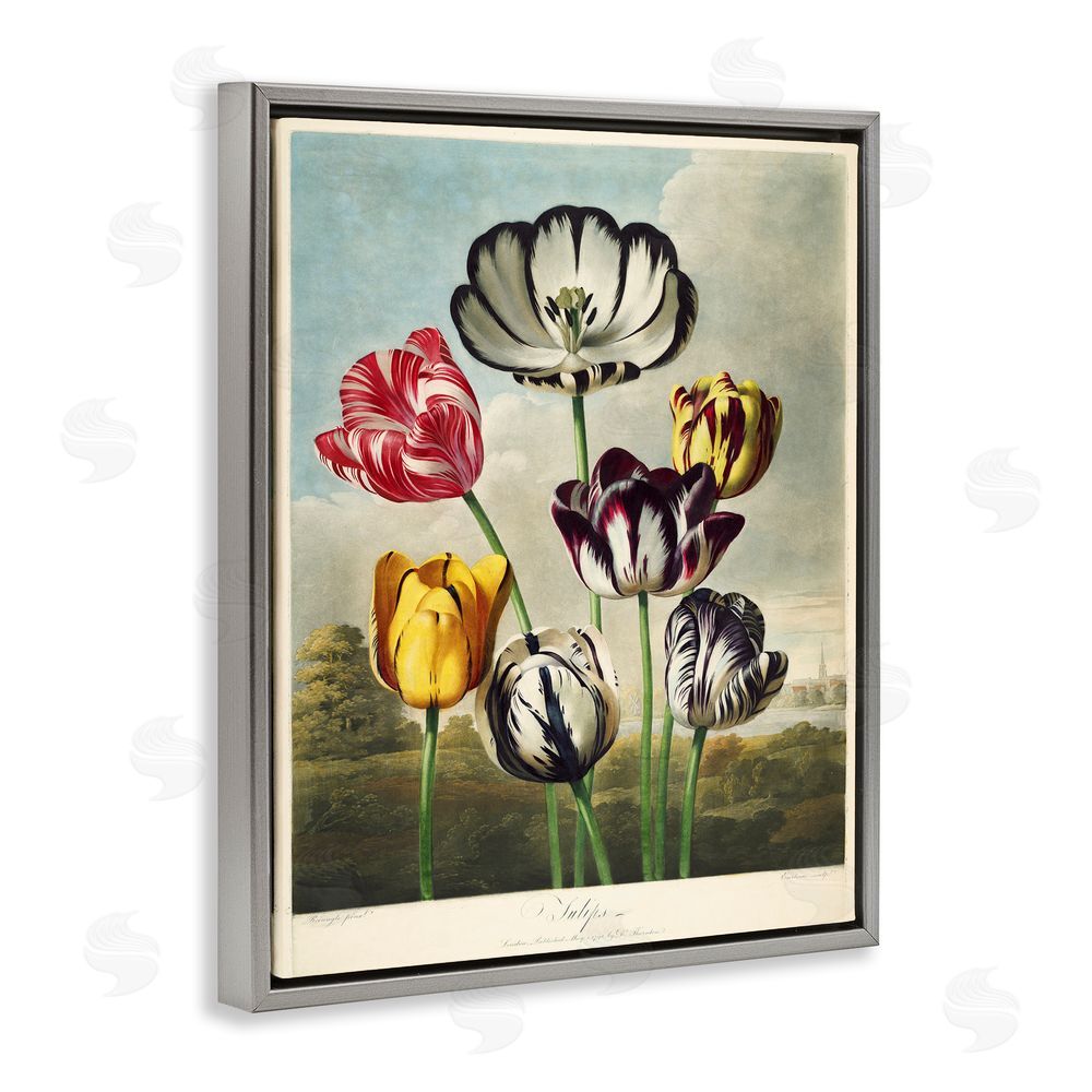 Print Collection Tulips From The Temple Gray Floating Frame Canvas Wall Art Print