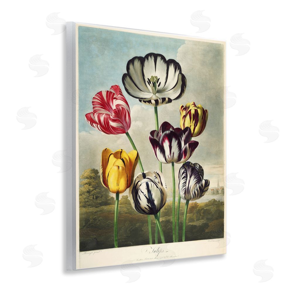 Print Collection Tulips From The Temple Wooden Wall Plaque Art Print