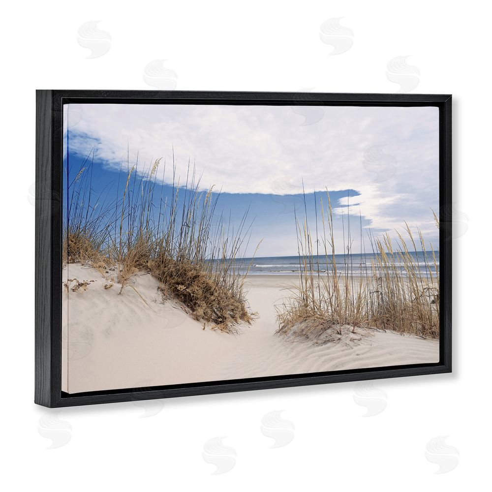 Natalie Carpentieri Sea Oats Along Sandy Dunes Black Floating Frame Canvas Wall Art Print