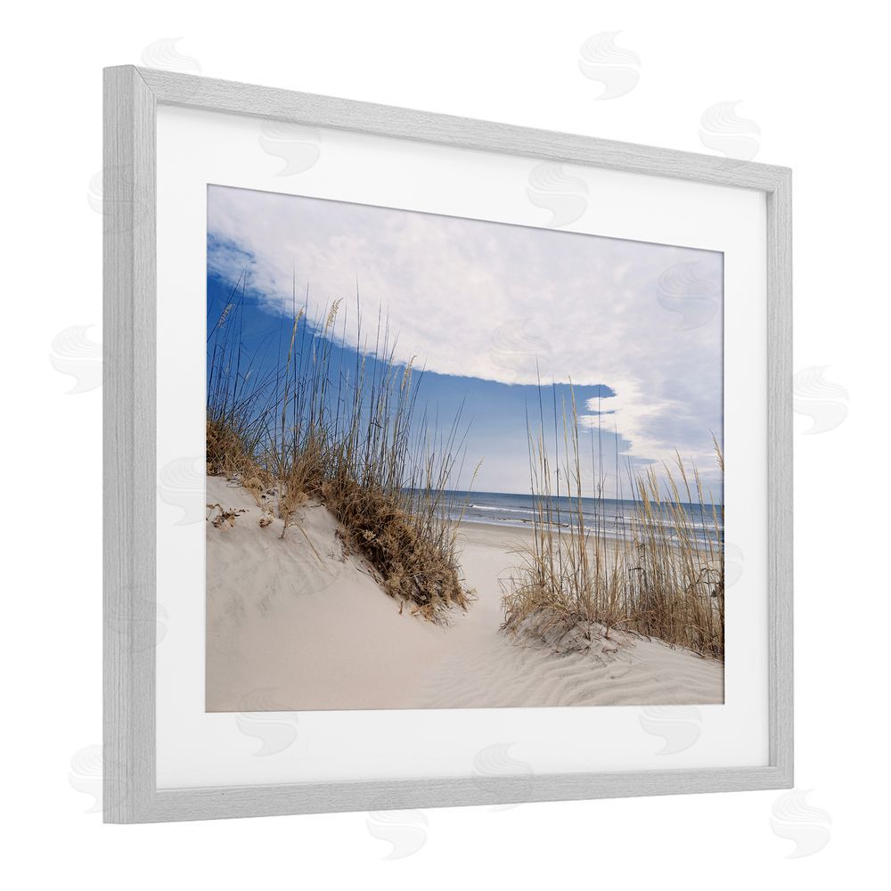 Natalie Carpentieri Sea Oats Along Sandy Dunes Gray Framed Print Under Glass Wall Art