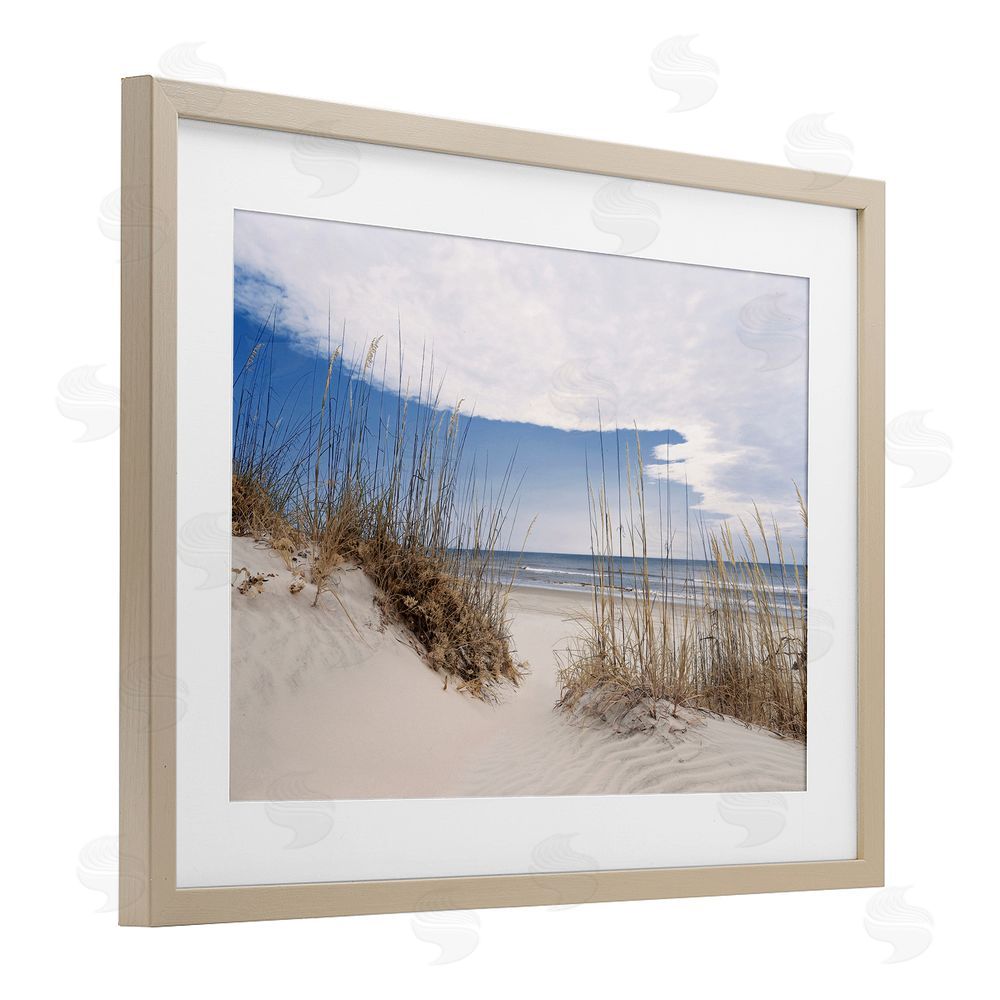 Natalie Carpentieri Sea Oats Along Sandy Dunes Brown Framed Print Under Glass Wall Art
