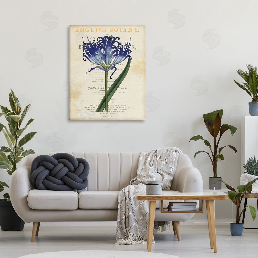 Susan Arnot English Botany Blue Floral