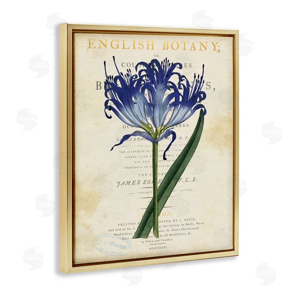 Susan Arnot English Botany Blue Floral Gold Floating Frame Canvas Wall Art Print