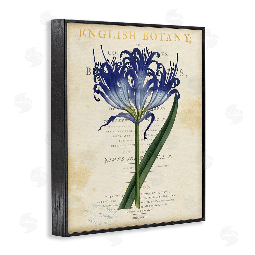 Susan Arnot English Botany Blue Floral Black Framed Giclee Wall Art Print
