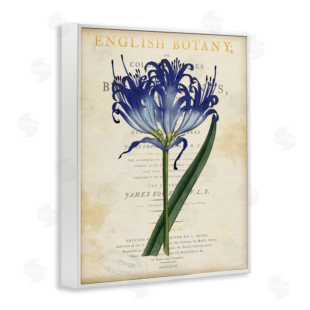Susan Arnot English Botany Blue Floral White Framed Giclee Wall Art Print