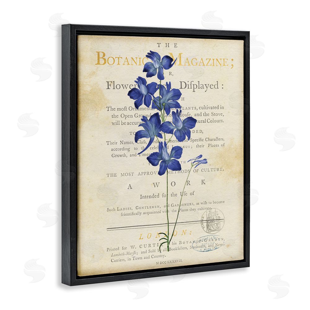 Susan Arnot Natural Botanic Garden Flower Black Floating Frame Canvas Wall Art Print
